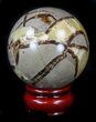 Polished Septarian Sphere #36059-1